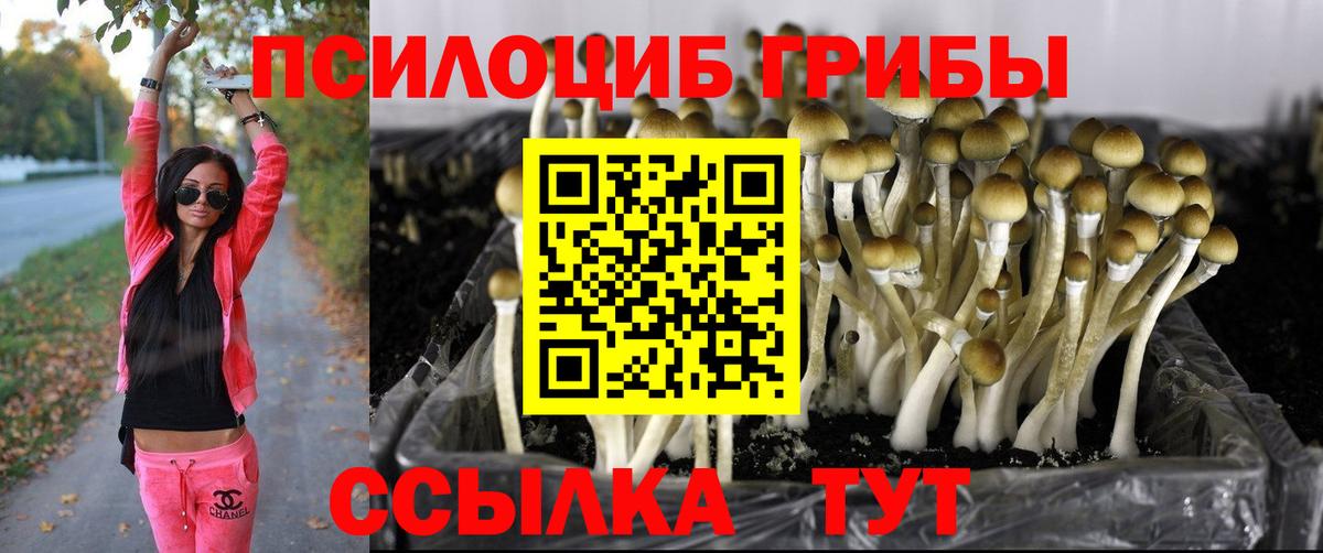 Псилоцибиновые грибы Magic Shrooms  дарнет шоп  Гагарин  Вход с VPN 